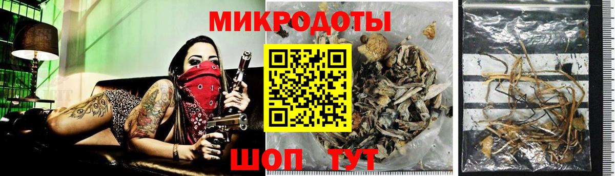 Зима  Псилоцибиновые грибы Cubensis  Псилоцибиновые грибы Magic Shrooms  Вход с VPN 